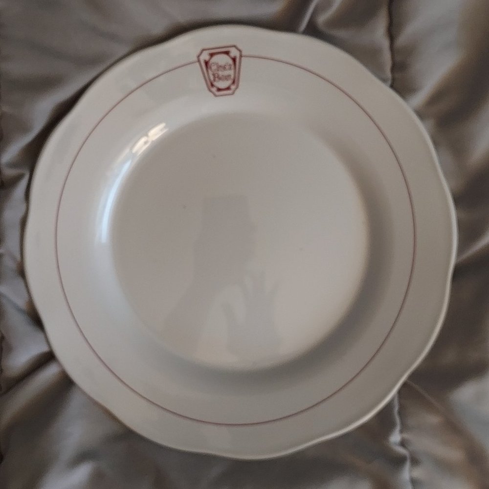 Two Dinner Plates Pyroceram by Corning Chez Bon